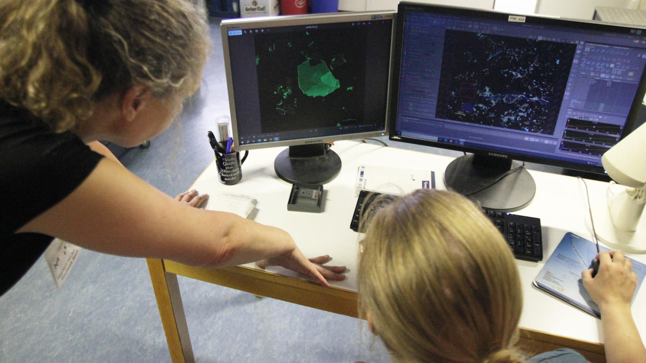 Collaborative Research